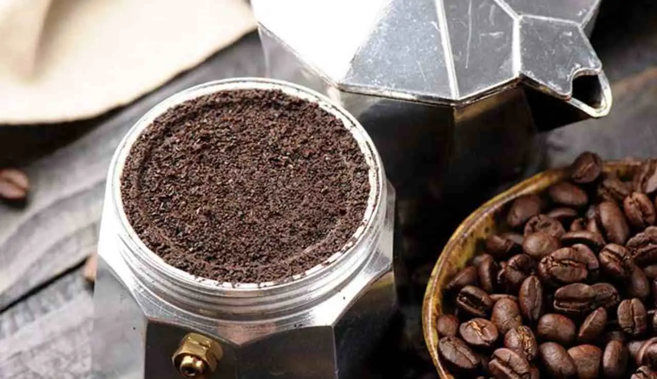 Il segreto del caffè in polvere contro gli odori in cucina: l’effetto che sorprende Il segreto del caffè in polvere contro gli odori in cucina: l’effetto che sorprende