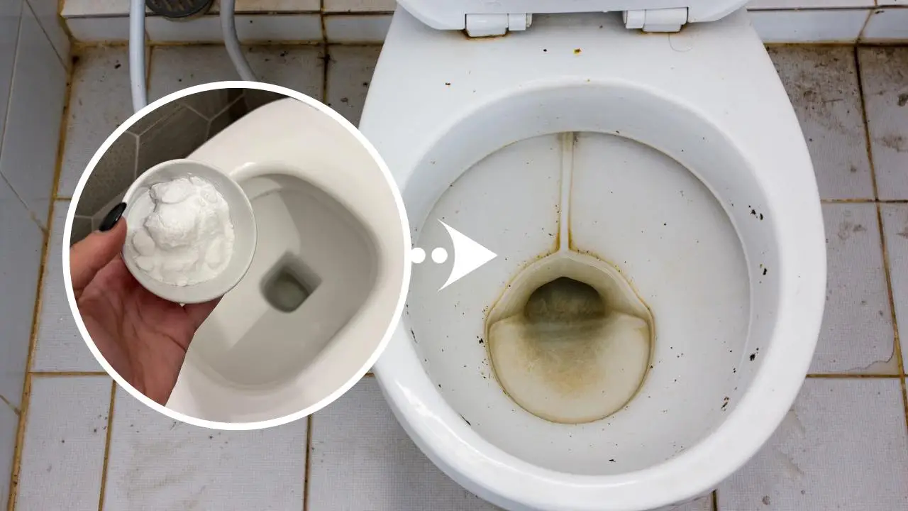 Scopri come eliminare l'odore di umido dal bagno usando solo aceto e bicarbonato Scopri come eliminare l'odore di umido dal bagno usando solo aceto e bicarbonato