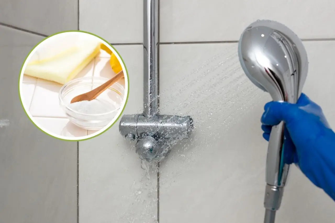Scopri come eliminare l'odore di umido dal bagno usando solo aceto e bicarbonato Scopri come eliminare l'odore di umido dal bagno usando solo aceto e bicarbonato
