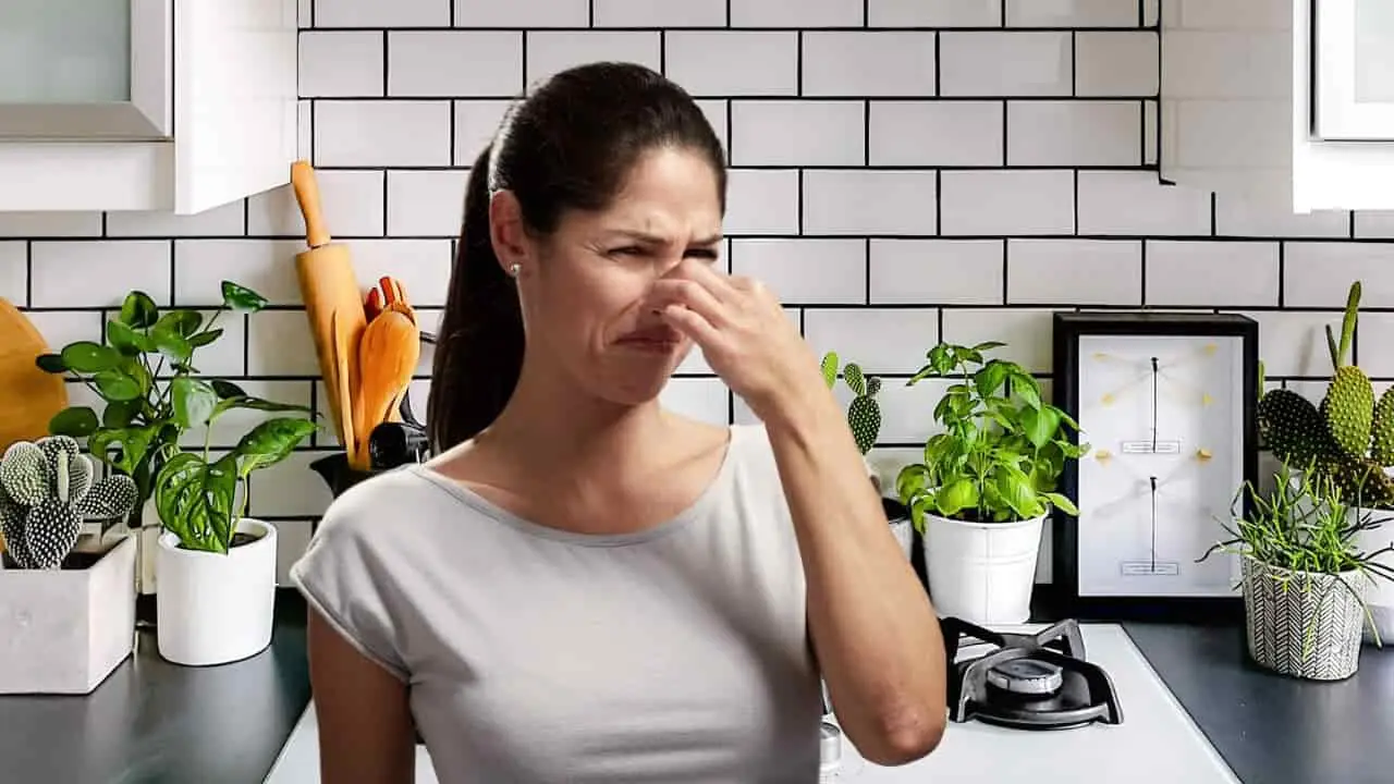 Scopri il trucco semplice che elimina velocemente gli odori di cucina più persistenti Scopri il trucco semplice che elimina velocemente gli odori di cucina più persistenti