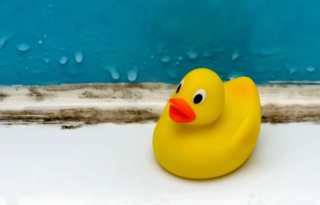Basta umidità in bagno: questa astuzia previene muffe e aloni con zero spesa Basta umidità in bagno: questa astuzia previene muffe e aloni con zero spesa