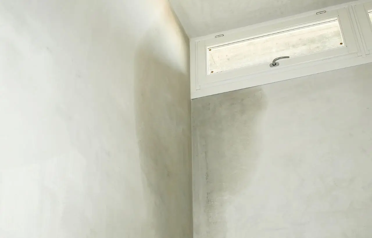 Basta umidità in bagno: questa astuzia previene muffe e aloni con zero spesa Basta umidità in bagno: questa astuzia previene muffe e aloni con zero spesa