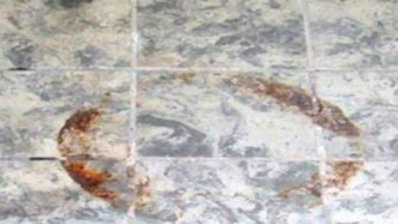 Macchie ostinate sulle fughe delle piastrelle? Eliminale in pochi secondi Macchie ostinate sulle fughe delle piastrelle? Eliminale in pochi secondi