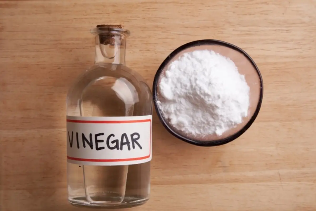 Come prevenire la muffa su muri e finestre con ingredienti comuni che hai già in casa Come prevenire la muffa su muri e finestre con ingredienti comuni che hai già in casa