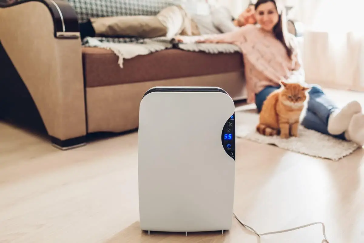 Non sopporti l’umidità in casa? Ecco l’azione immediata per togliere ogni ristagno Non sopporti l’umidità in casa? Ecco l’azione immediata per togliere ogni ristagno