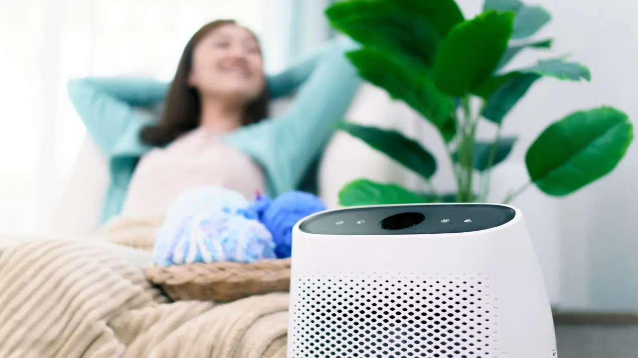 Non sopporti l’umidità in casa? Ecco l’azione immediata per togliere ogni ristagno Non sopporti l’umidità in casa? Ecco l’azione immediata per togliere ogni ristagno