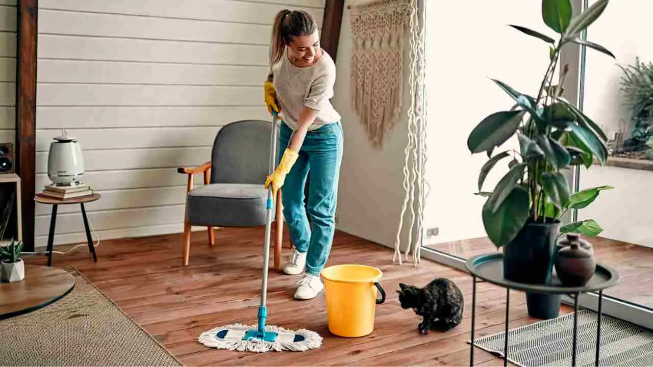 Pulizia veloce: trucchi concreti per avere superfici sempre perfette anche con animali Pulizia veloce: trucchi concreti per avere superfici sempre perfette anche con animali